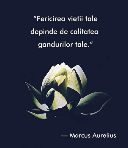 510057dd-1714-4139-abbc-b77a363a1c4c