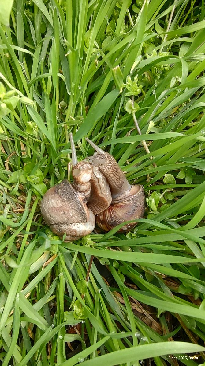 5d76ee94-efad-4233-8c83-d1e1ad0ae790