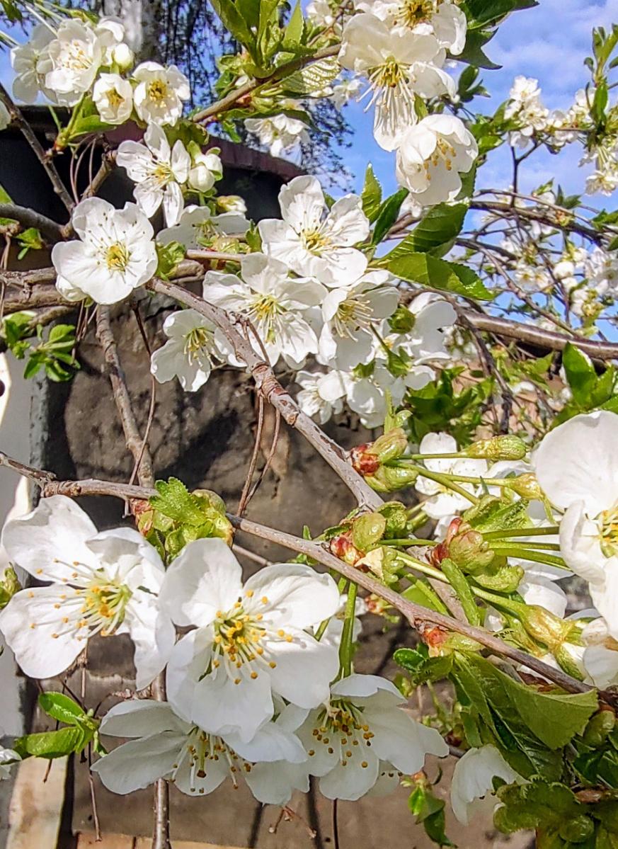 2d32b4ab-aac2-4db4-a035-7f6513133961