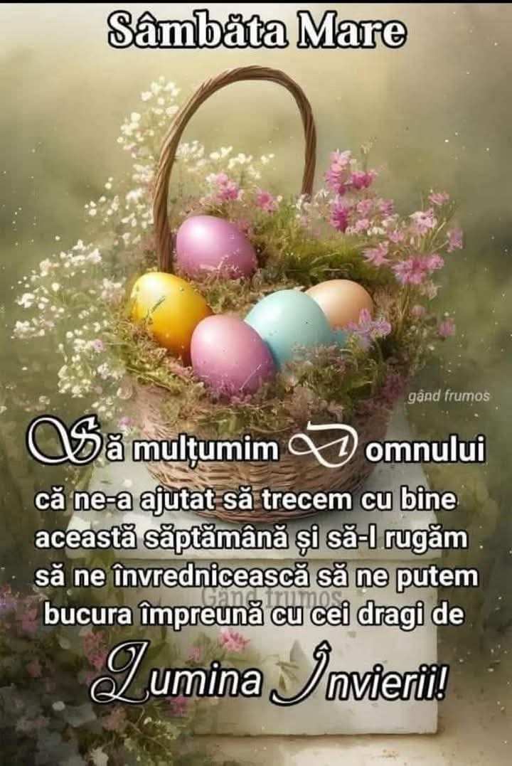 30341d28-0988-48ba-84ef-68dc85c568c4