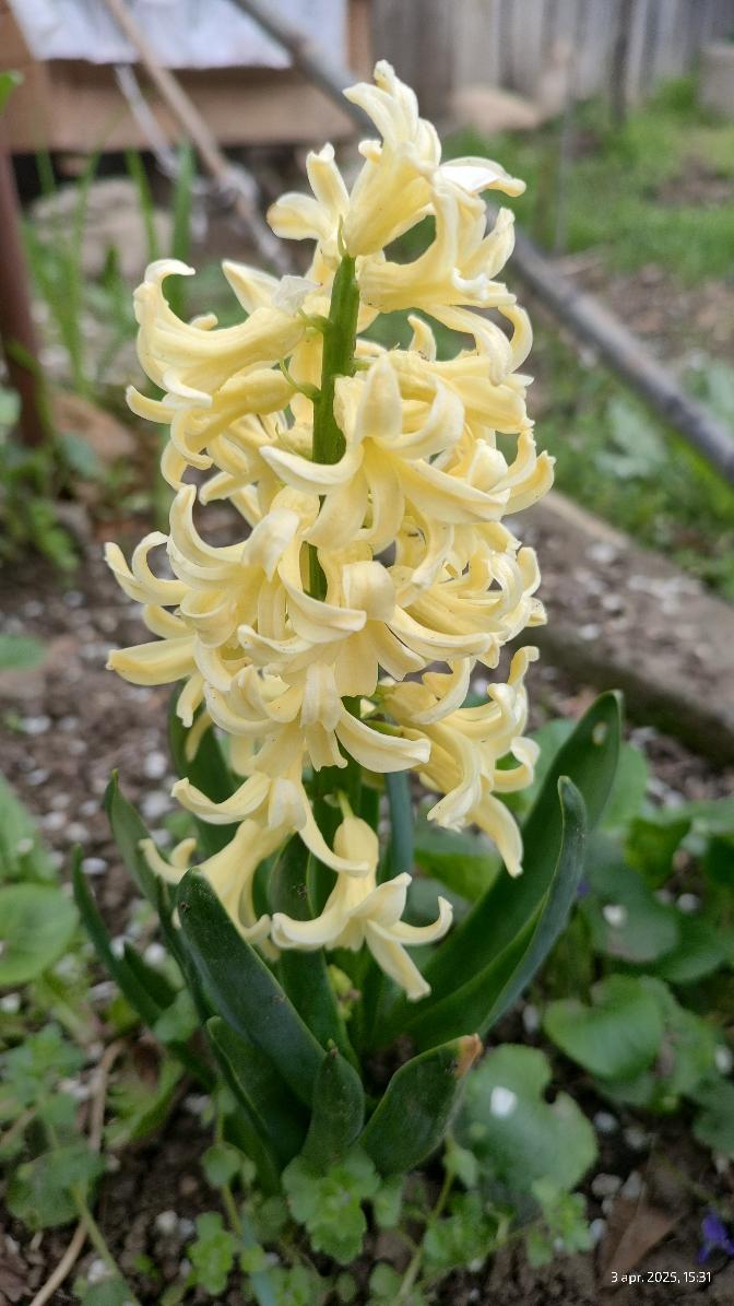 376bcc8e-45be-4fe7-b545-c1c0319f0f0f