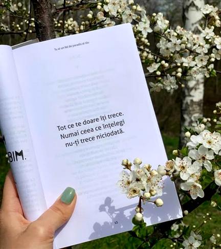 b7325f32-4a09-46f0-b8f0-0be6c90c2a8a