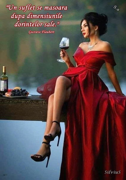 Un suflet se masoara dupa dimensiunile dorintelor sale.  Gustave Flaubert (2)