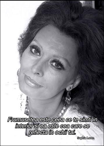 586ac51a-103e-4d09-a69b-e0152af4a4b7