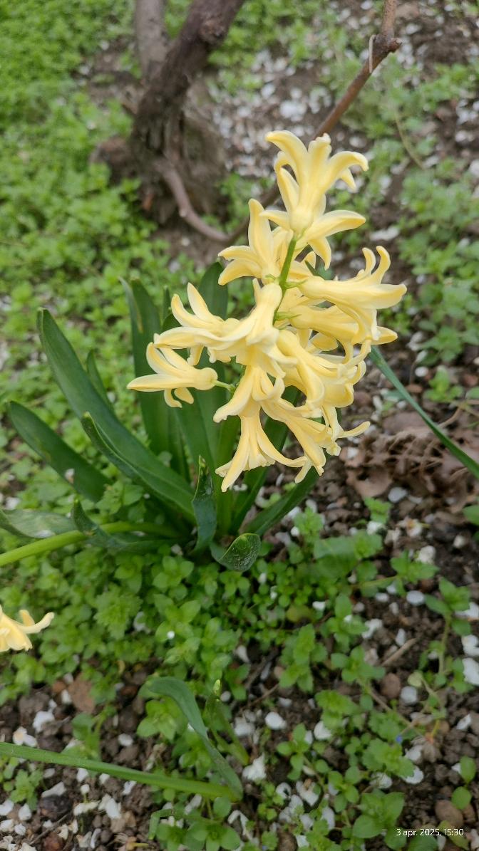 c2b49695-e898-48d4-a2cc-ec4f0235c3b2