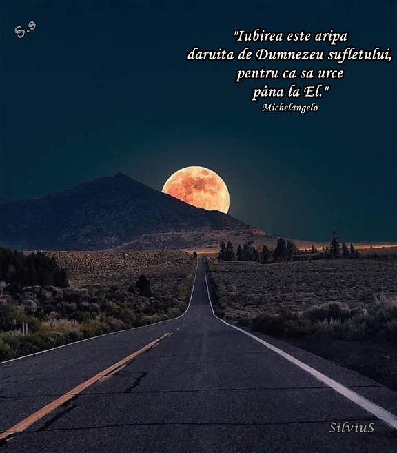 Iubirea este aripa dăruită de Dumnezeu sufletului, pentru ca să urce până la El.  Michelangelo