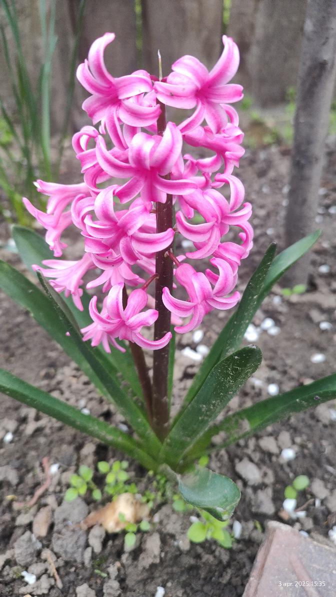 171d5a3e-70de-4739-bfa0-42425195e756