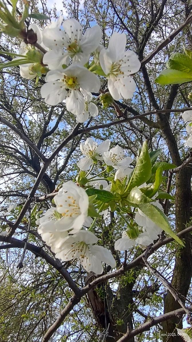 65d908e1-5035-47a5-98ec-f8c3718d5059