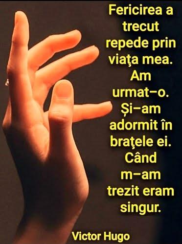 86054a6e-3120-4385-88d8-e66a2cf0d299