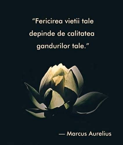 fcb29794-fc2f-4bb6-8b20-515d5452c637