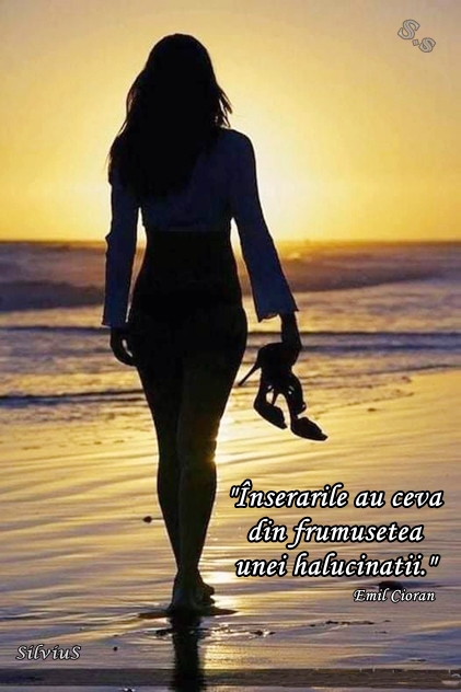 Înserările au ceva din frumuseţea unei halucinaţii. Emil Cioran