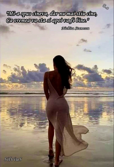 Mi-a spus cineva, dar nu mai stiu cine, Ca vremea va sta si apoi va fi bine. Nichita Stanescu