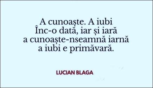 6ff24bf9-23d3-44e8-b48d-51dd97031e39