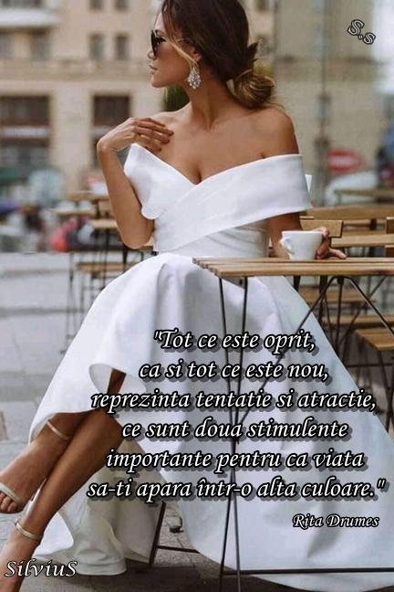 Tot ce este oprit...  Rita Drumeş