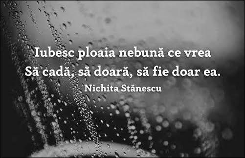 e444f42c-bc1d-4e83-9f77-141ebe1037de