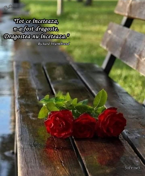 Tot ce încetează, n-a fost dragoste. Dragostea nu încetează.  Richard Wurmbrand