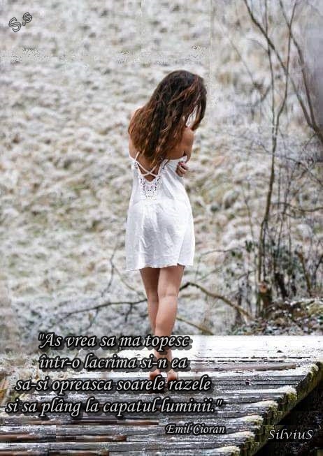 Aş vrea să mă topesc într-o lacrimă şi-n ea să-şi oprească soarele razele şi să plâng la capătul luminii.   Emil Cioran