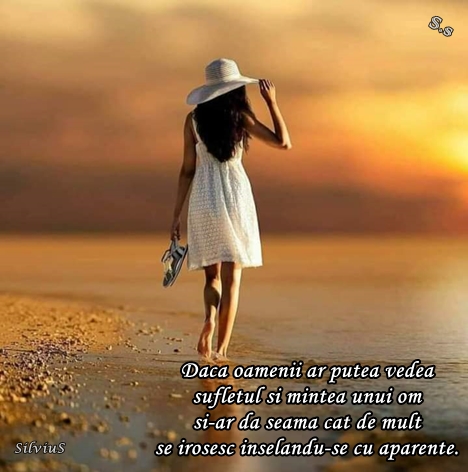 Daca oamenii ar putea vedea sufletul si mintea unui om si-ar da seama cat de mult se irosesc inselandu-se cu aparente.