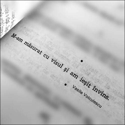 9b3fc2e5-862f-4d2a-a409-0385fa8c7518