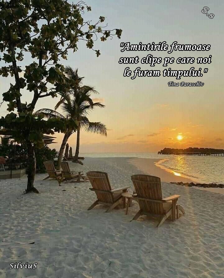 Amintirile frumoase sunt clipe pe care noi le furăm timpului.  Tina Paraschiv