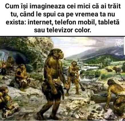 Postare de la Silvius Banica